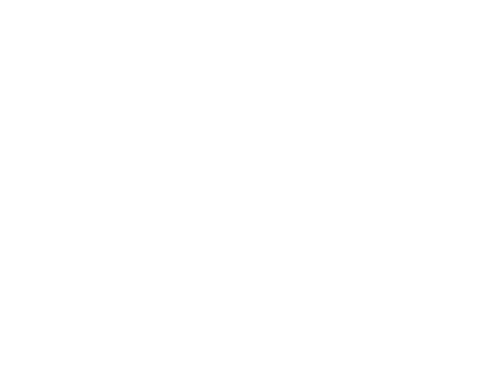 Suzanne Lissaman logo n white